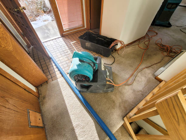 Best Water damage restoration near me  in Lincoln City, OR