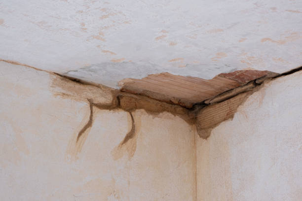Best Basement water damage restoration  in Lincoln City, OR