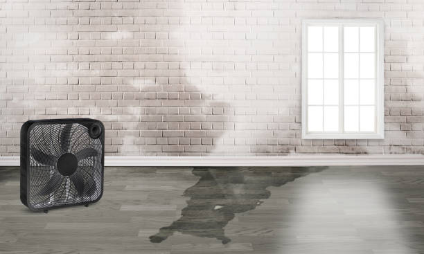 Best Local water damage restoration  in Lincoln City, OR