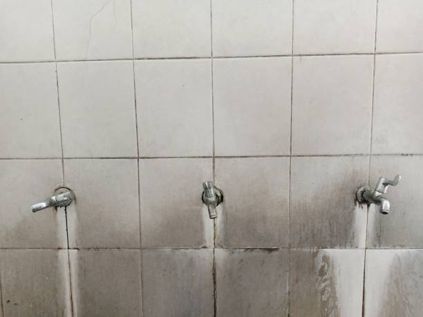 Best Professional water damage repair  in Lincoln City, OR